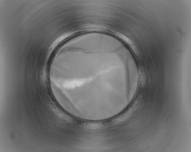 X0000113251074200910221116