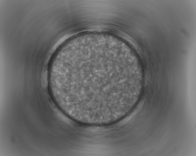 X0000113251075200910221116