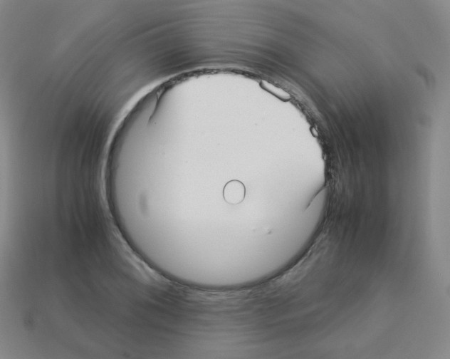 X0000113251076200910221116