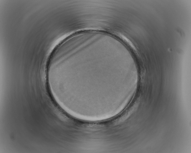 X0000113251077200910221116