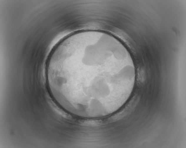 X0000113251078200910221116