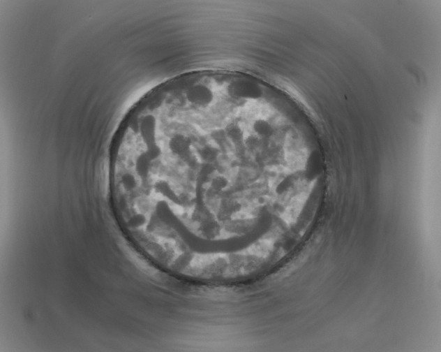 X0000113251079200910221116