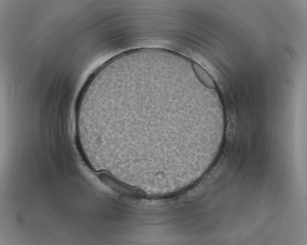 X0000113251080200910221116