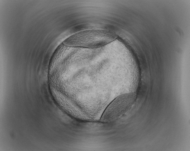 X0000113251081200910221116