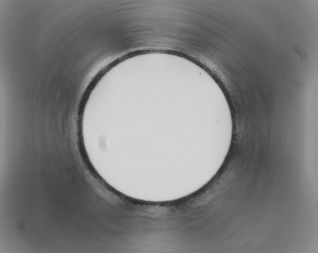 X0000113251085200910221116