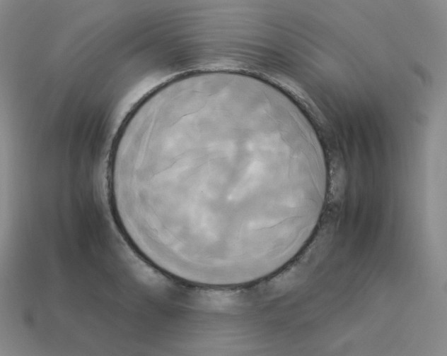 X0000113251086200910221116