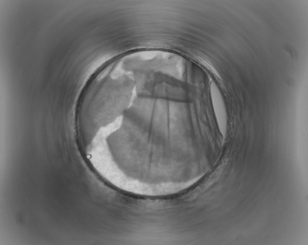 X0000113251087200910221116