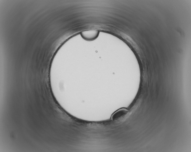 X0000113251089200910221116