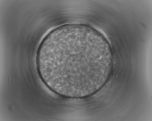 X0000113251091200910221116