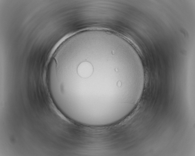 X0000113251092200910221116