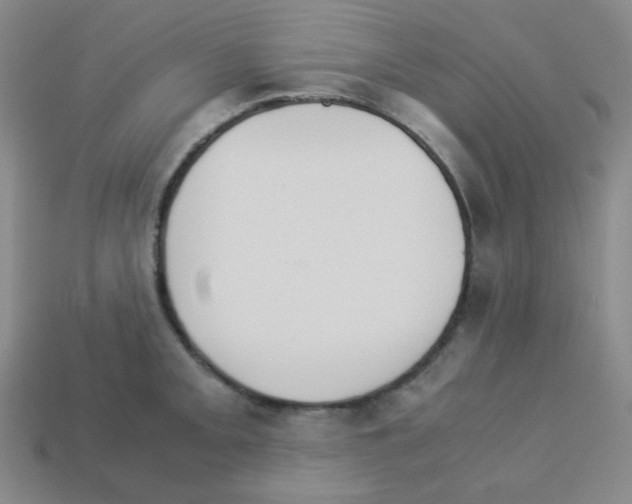 X0000113251093200910221116