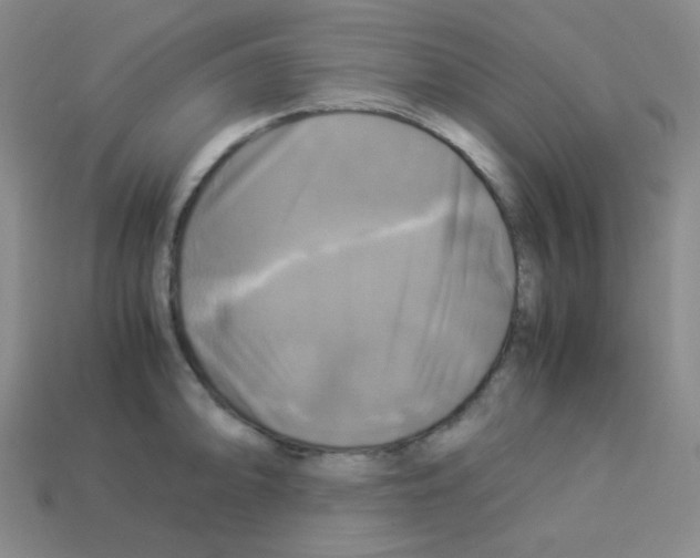 X0000113251094200910221116