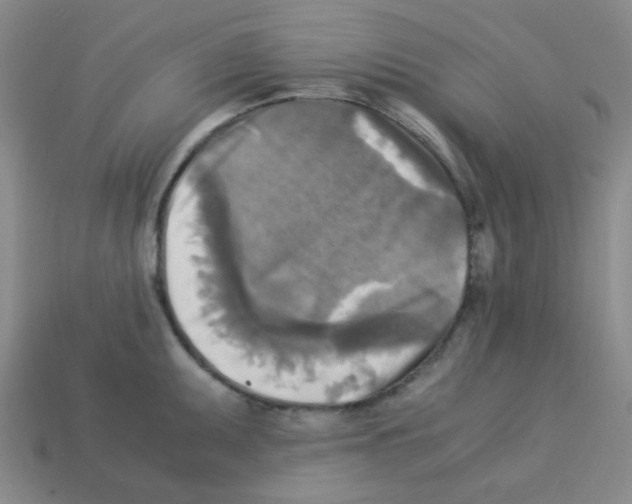 X0000113251095200910221116