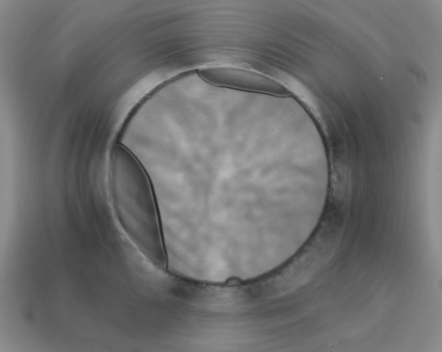 X0000113251096200910221116