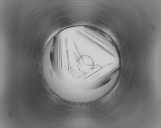 X0000113251097200910221116