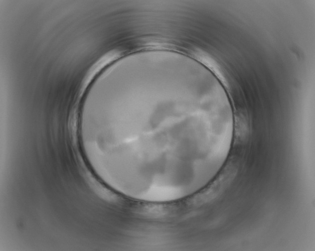 X0000113251098200910221116