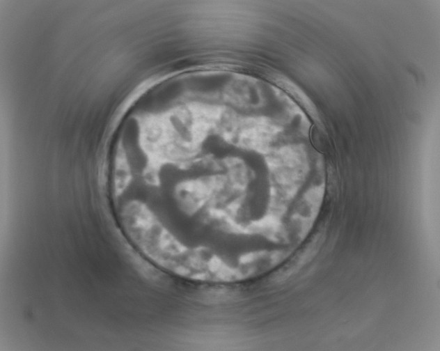 X0000113251099200910221116