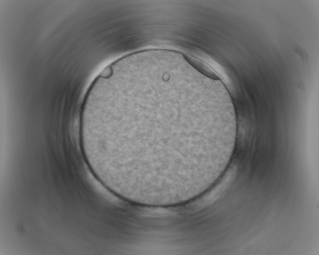 X0000113251100200910221116