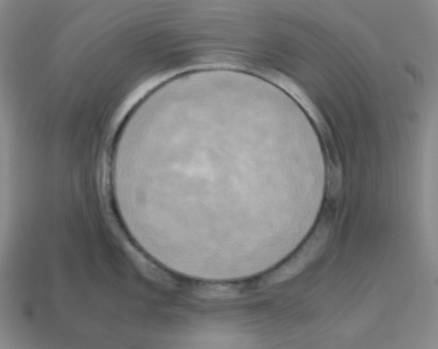 X0000113251101200910221116