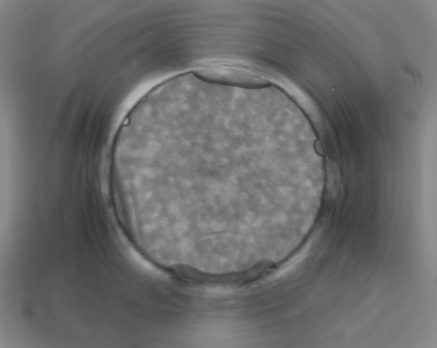 X0000113251102200910221116