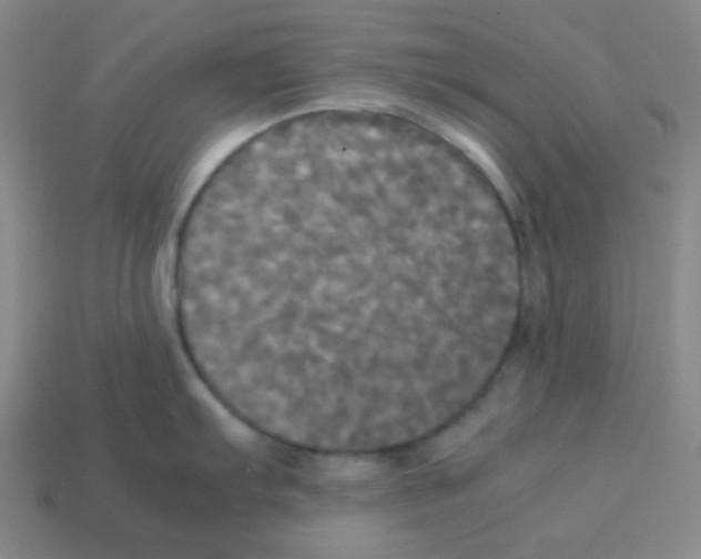 X0000113251103200910221116