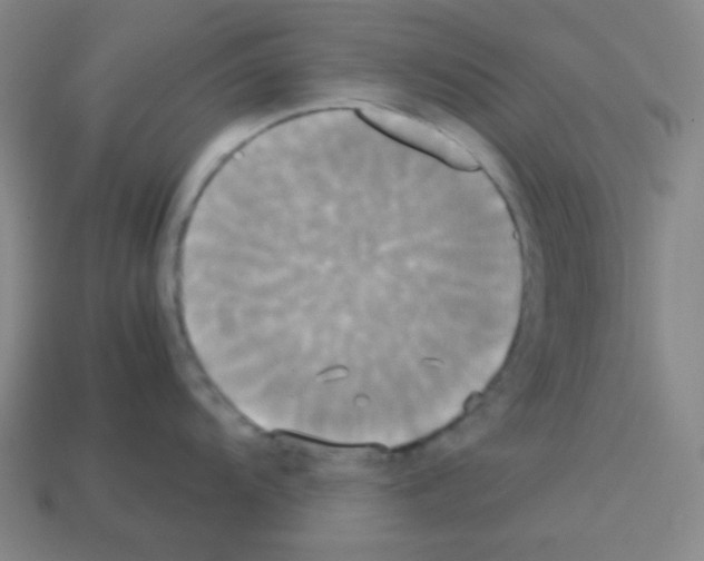 X0000113251104200910221116