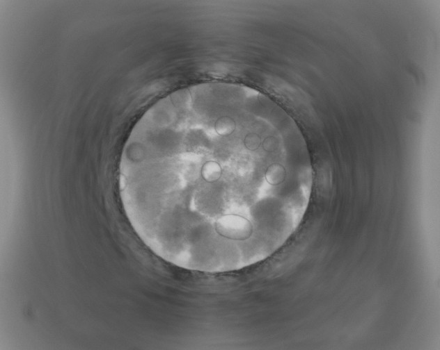 X0000113251105200910221115