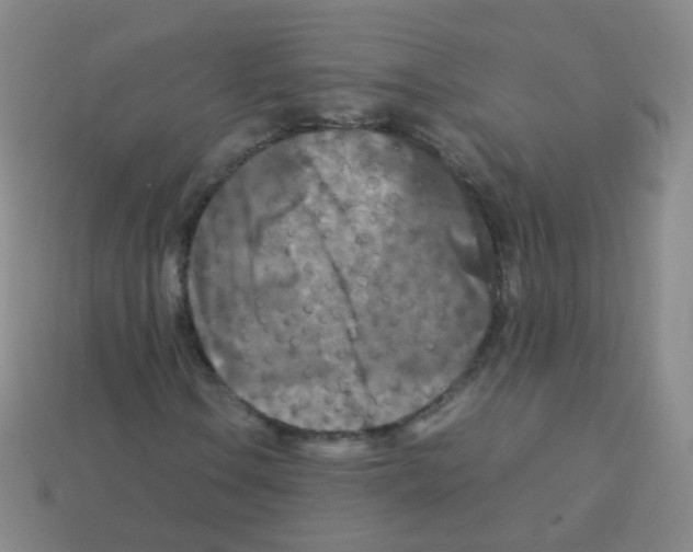 X0000113251106200910221115