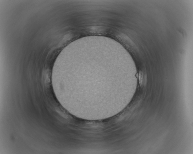 X0000113251107200910221115