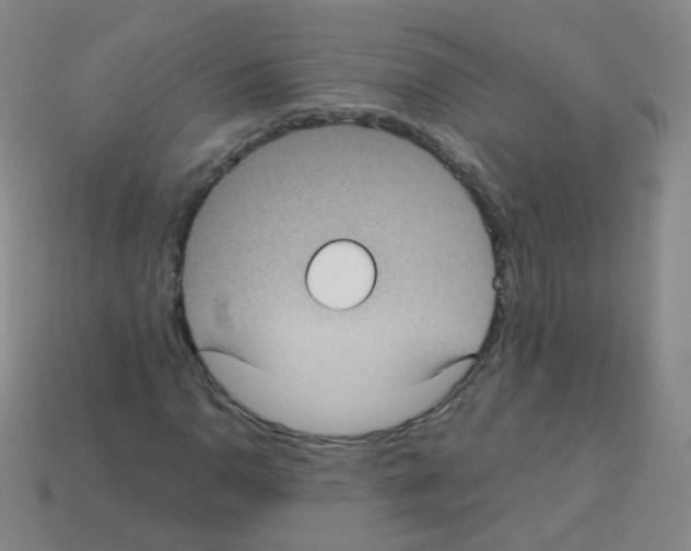 X0000113251110200910221115