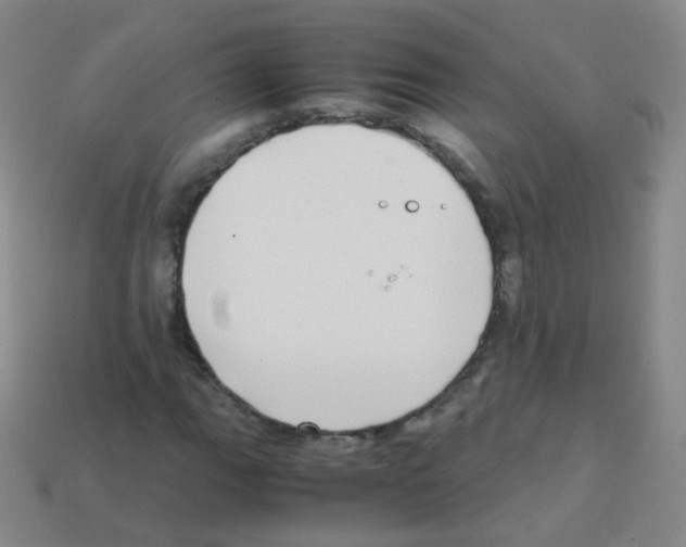 X0000113251111200910221115