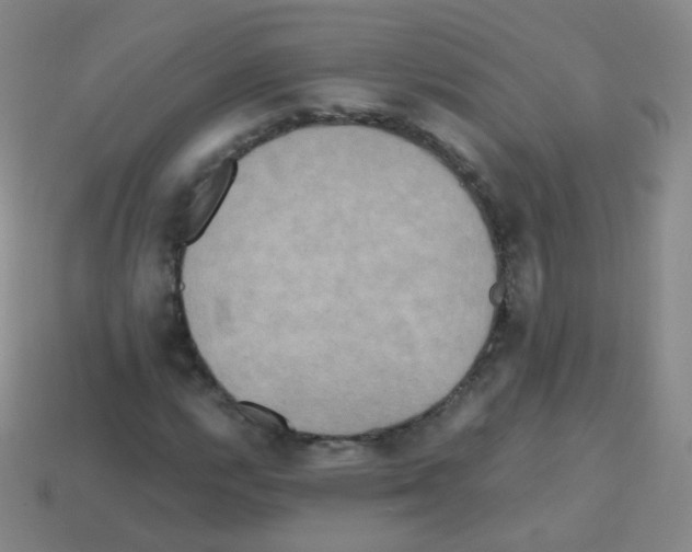 X0000113251112200910221115