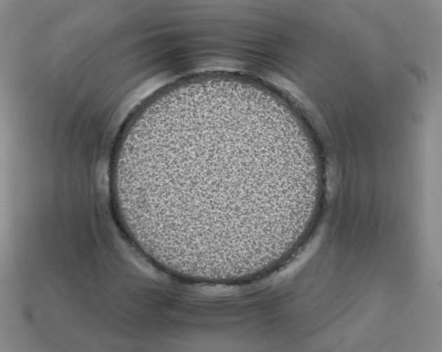 X0000113251113200910221115