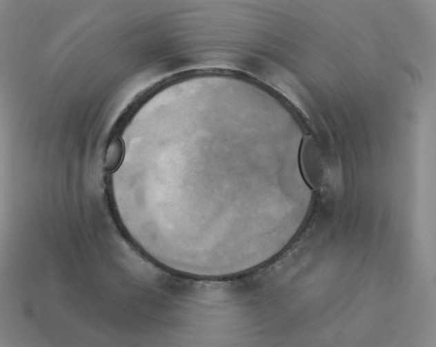 X0000113251116200910221115