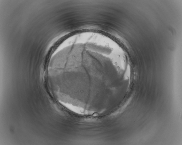 X0000113251117200910221115