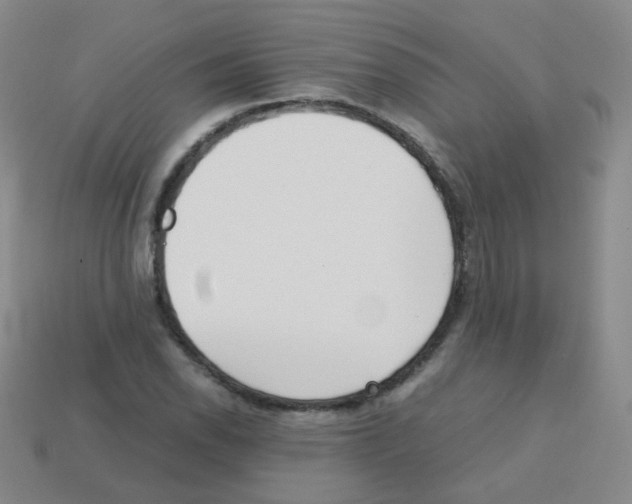 X0000113251118200910221115