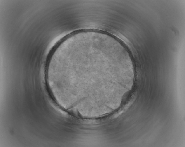 X0000113251120200910221115