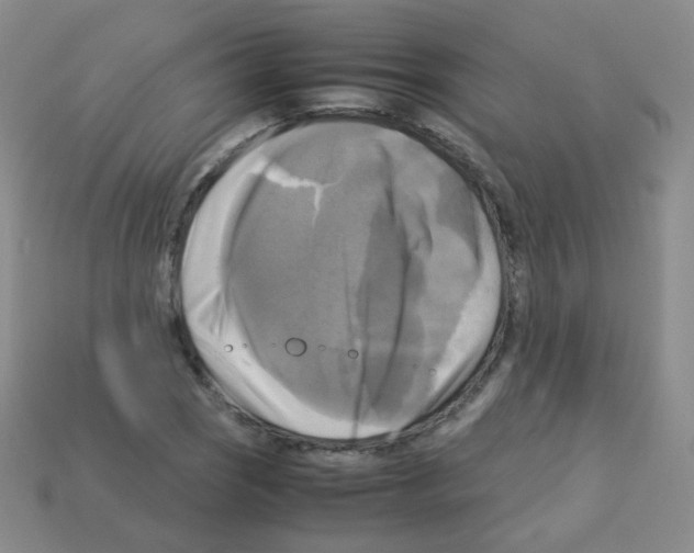 X0000113251121200910221115