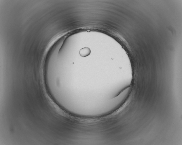 X0000113251122200910221115