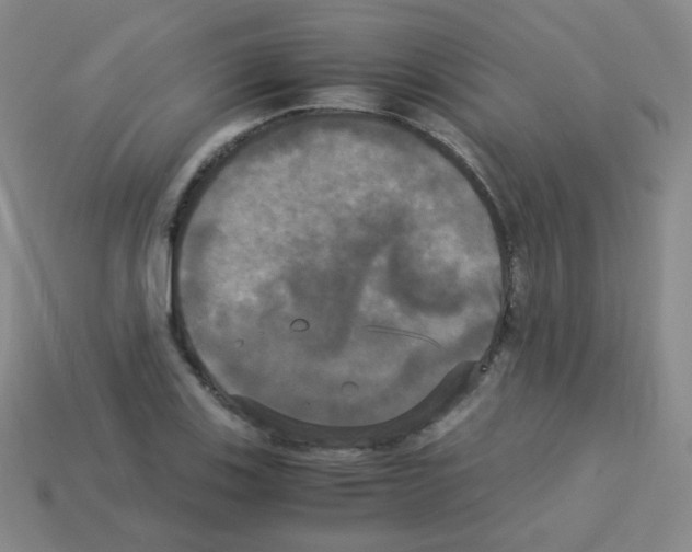 X0000113251123200910221115