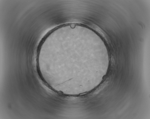 X0000113251124200910221115