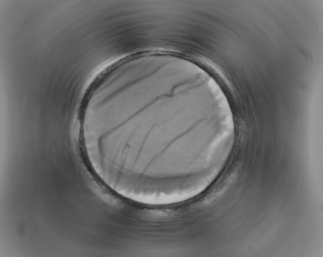 X0000113251125200910221115