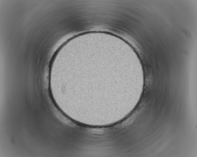 X0000113251126200910221115