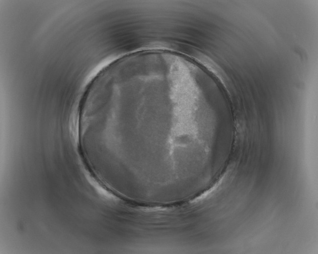 X0000113251127200910221115