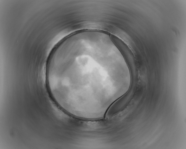 X0000113251128200910221115