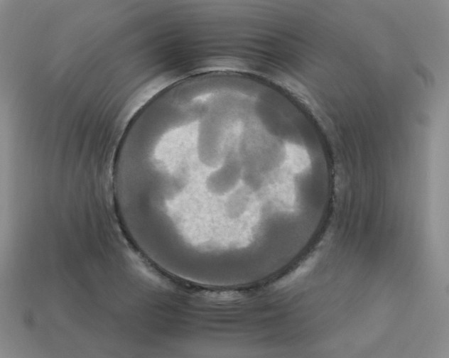 X0000113251129200910221115