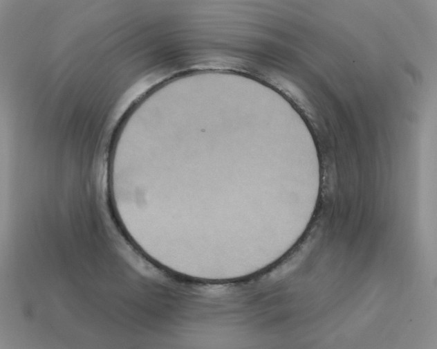 X0000113251130200910221115