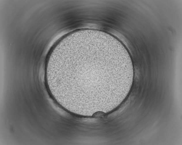 X0000113251131200910221115