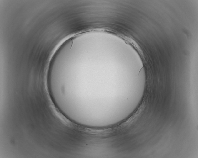 X0000113251132200910221115