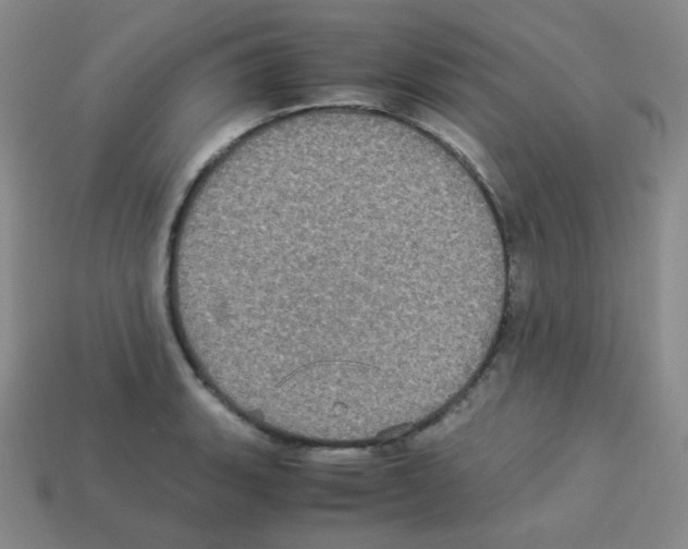 X0000113251135200910221115